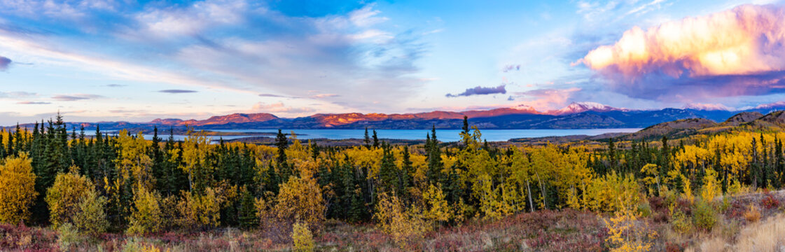 Fall colors around Lake Laberge Yukon YT Canada