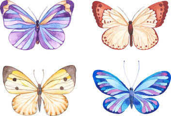 Obraz na płótnie Canvas Vector illustration of watercolor butterflies isolated on white background