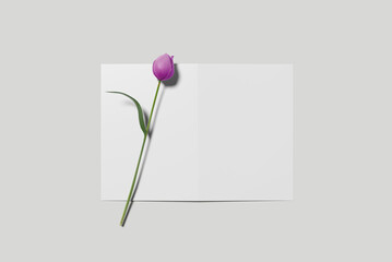 A4 Bifold Brochure Mockup