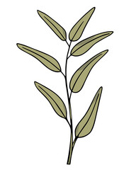 Olive branch, hand-drawn doodle sketch. Twig with leaves outline. Simple minimalistic design. Food menu or cosmetic concept decoration. Isolated. Vector illustration