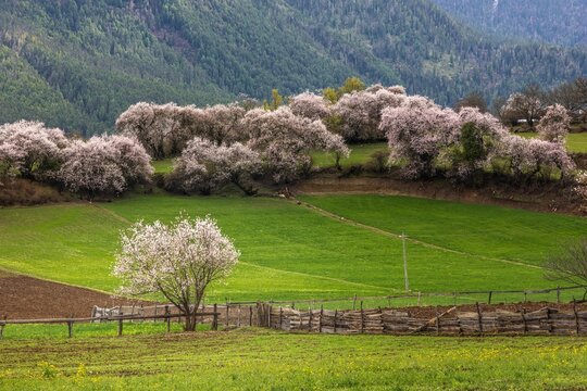 Beautiful view of the Galang village in Bomi county, Tibet