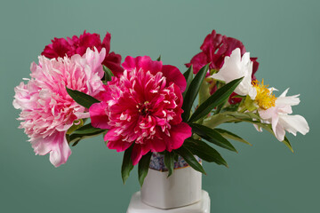 Bouquet of multi-colored peonies on an isolated on a green background.