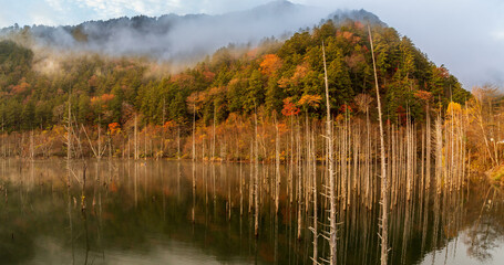 水面に映る紅葉がきれいな朝の自然湖
