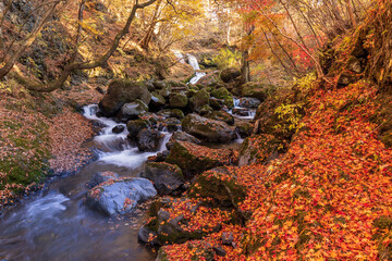 秋の紅葉に彩られる富士吉田市 鐘山の滝
