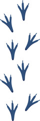 Domestic animal footprint Chicken steps and trails