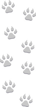 Wild animal footprint flat icon Lion steps