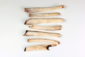 Natural deer bones isolated on white background, Ribs without meat