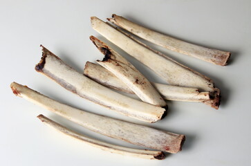 Natural deer bones isolated on white background, Ribs without meat