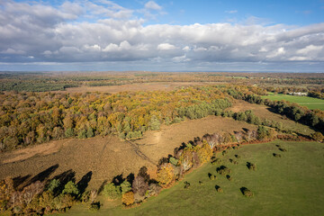 The drone aerial view of New Forest  National Park in autumn, Hampshire, England. The New Forest is one of the largest remaining tracts of unenclosed pasture land, heathland and forest.