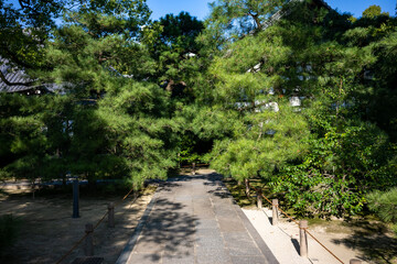 博多旧市街寺社巡り 【福岡県】