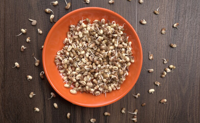 Close up of pile of sprouted seeds of green gram or moong.