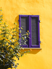 Yellow wall purple shades