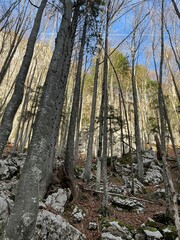 Seven Triglav lakes trail in Slovenia landscape