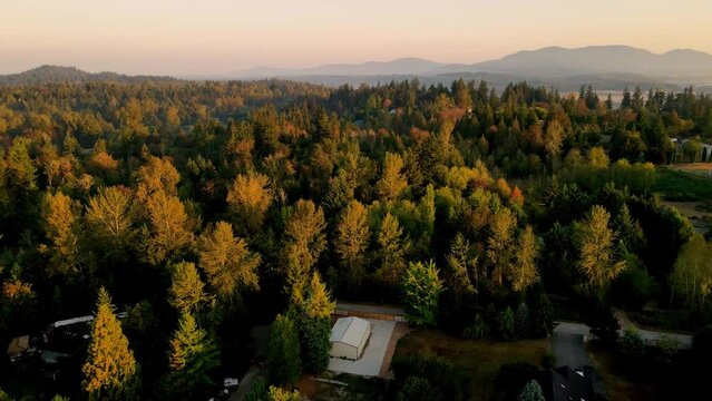 cinematic sunset drone shot in forest with a remote residential houses with sun rays peaking beautiful aerial 4k filmed in Renton Washington with mountains in background