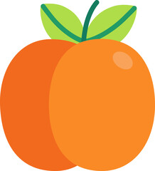 Apricot colorful style