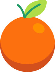 Grapefruit colorful style