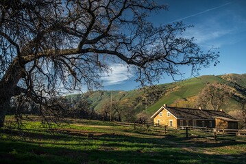 Wooden farmhouses next to big oak trees on a sunny day with a cloudy blue sky in the background