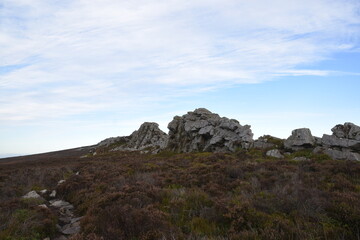 Fototapeta na wymiar the top of stiperstones in the Shropshire hills