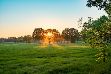 Fototapeta na wymiar A Wide Angle View of a Beautiful Meadow with some mist under a blue sky at sunrise or sunset with the sun shining through the trees . High quality photo