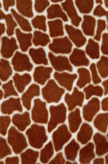 giraffe texture - obrazy, fototapety, plakaty