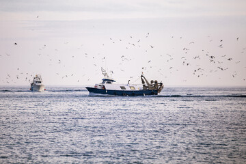 Fischerboot auf der Heimfahrt