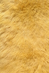 Fabrıc texture
