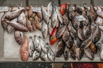 heap of various fish at covered market, Funchal, Madeira