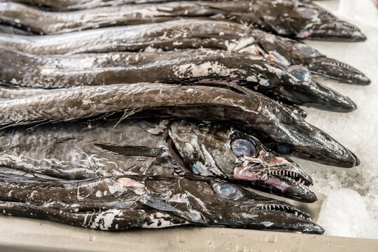 heads of Espada fish  at covered market, Funchal, Madeira