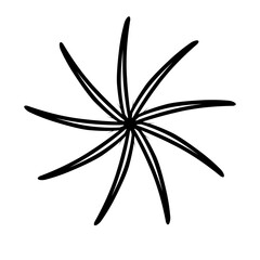 black and white flower