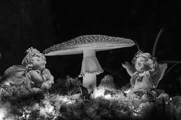 Fantasy Magical Mushrooms and elfs in enchanted Fairy Tale dreamy elf Forest with fabulous...