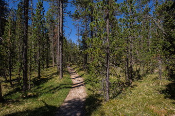 Landschaft im Schweizer Nationalpark