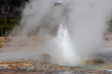 Geyser at Yellowstone National Park. USA.