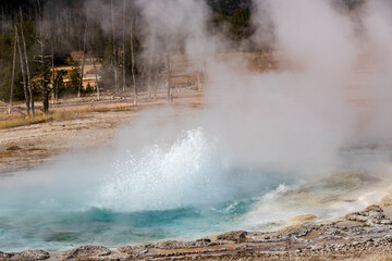 Geyser at Yellowstone National Park. USA.