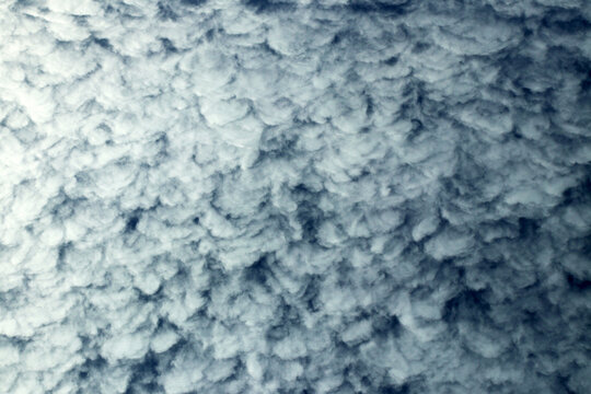 Autumn blue sky background covered with Cirrocumulus clouds.