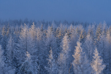 Winter im Erzgebirge