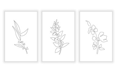 continuous line art flower and botanical concept element collection. minimal concept.