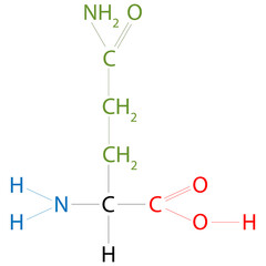 The structure of Glutamine (amino acid). Its side chain is similar to that of glutamic acid, except the carboxylic acid group is replaced by an amide.
