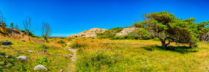 Küstenwanderung in Saltö Klippstranden in Schweden am Oslofjord 