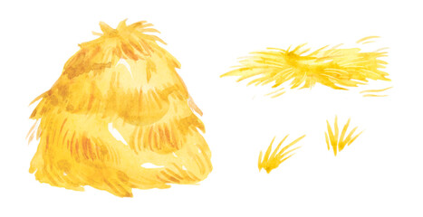 Watercolor illustration of yellow hay and straw. Hand-drawn illustration isolated on the white background © Katia