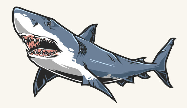 Angry shark detailed colorful logotype