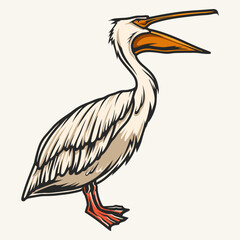 Fototapeta premium Screaming pelican colorful detailed sticker