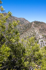 Fototapeta premium Mirador Tres Valles - Santuario de la Naturaleza Yerba Loca - Traveling Chile