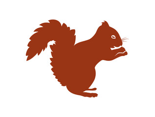 Rotes Eichhörnchen Vektor / SVG