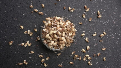 Fototapeta premium Healthy diet and vegetarian food. Mix of fresh sprouts on beautiful background. macrobiotic food. Sprouted wheat, peas, lentil seeds. Copy space