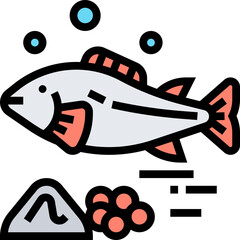 salmon icon