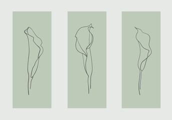 Callas flowers outline vector clipart. Flowers line art tattoo. Wedding Lily Logo elements 