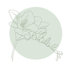 Freesia flower with green circle shapes on white background. Floral line art. Outline vector flowers. Wedding elegant continuous line drawing. 