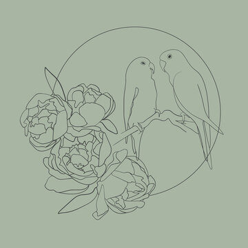 Parrots line art with peonies flowers on green background. Parrots outline vector illustration
