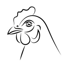Kura ilustracja chicken hen illustration - obrazy, fototapety, plakaty