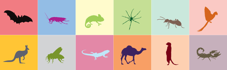 Collection of desert animals.